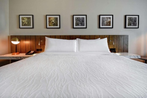 Hilton Garden Inn Jackson image 24